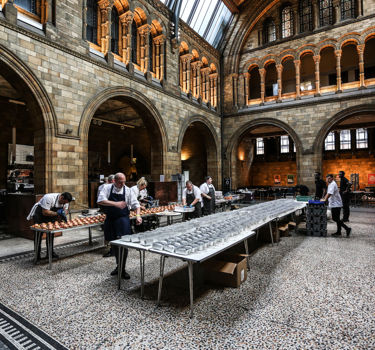 BAZ Compass Event 2022 Nat. Hist. Museum 12