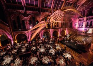 Large Event Catering