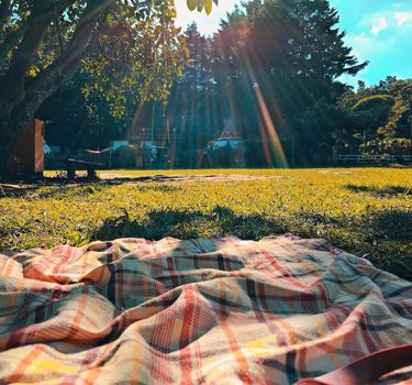 Jennie Clavel G0zoydfvuxq Unsplash